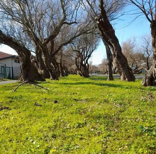 Mes Amours D'enfants - Les Villas Du Lac Prázdninový areál 3*